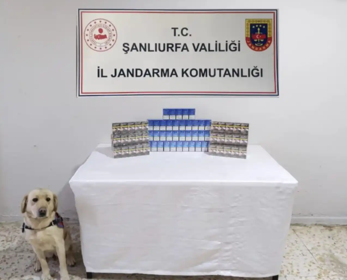 ŞANLIURFA'DA JANDARMA KAÇAKÇILARA GÖZ AÇTIRMADI