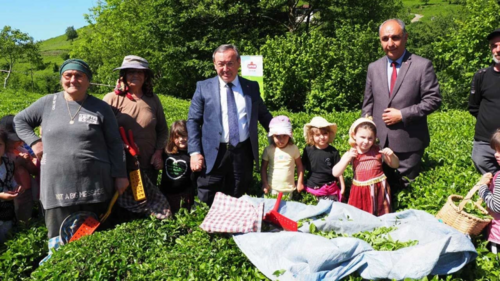 ÇAYKUR’UN “ÇOCUK ÇAY HASADI ŞENLİĞİ” RENKLİ GÖRÜNTÜLERE SAHNE OLDU