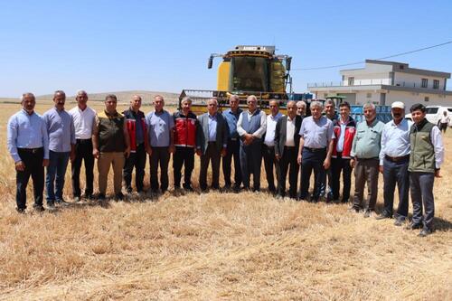 ADIYAMAN KUYULU KÖYÜ’NDE 2025 YILININ İLK ARPA HASADI YAPILDI