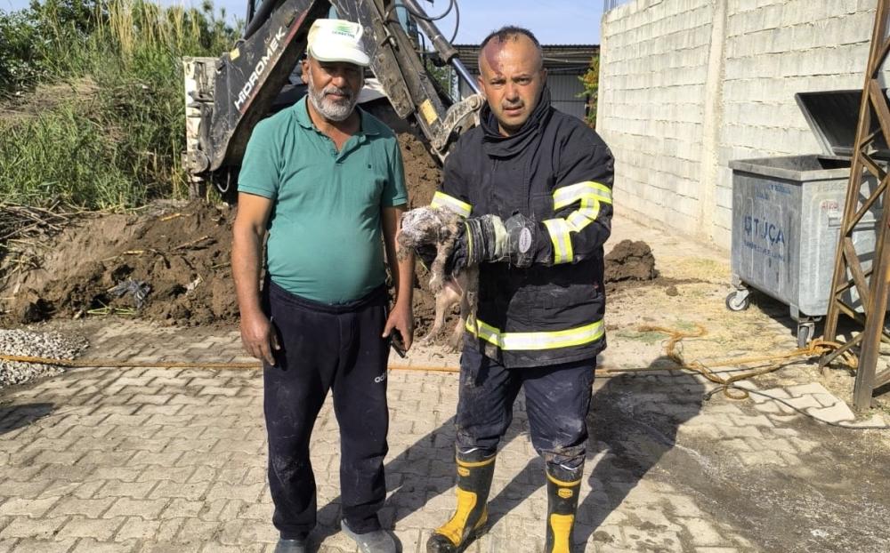 HBB’DEN YÜREK ISITAN KURTARMA OPERASYONU