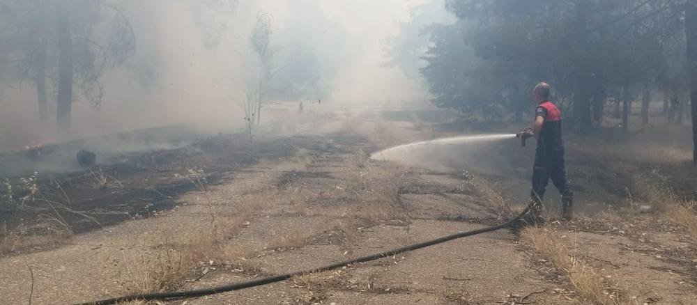 Şanlıurfa’nın Bozova İlçesinde Orman Yangını Kısa Sürede Söndürüldü