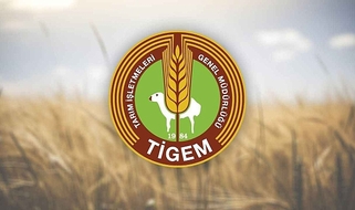 YETİŞTİRİCİLER İÇİN KRİTİK TARİHLER: KIRSALDA BEREKET PROJESİ BAŞVURU SÜRECİ NASIL İŞLEYECEK?