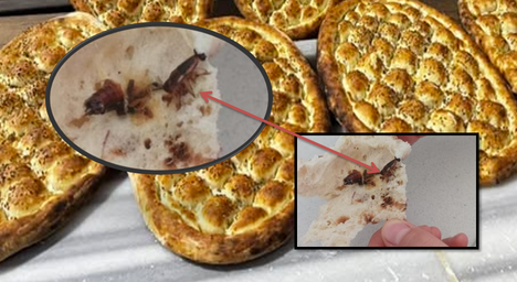 ŞANLIURFA'DA GIDA SKANDALI, FIRINDAN EKMEK İÇİNDEN HAMAM BÖCEĞİ ÇIKTI!