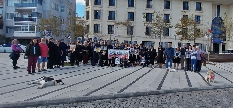 Gelibolu’daki Hayvan severlerden açıklama “bugün kutlama günü değil, yas günüdür“
